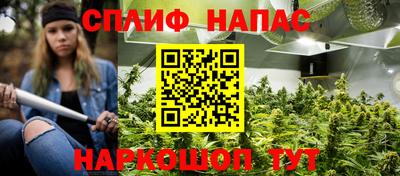 гидра Можга