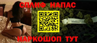 спиды Моздок