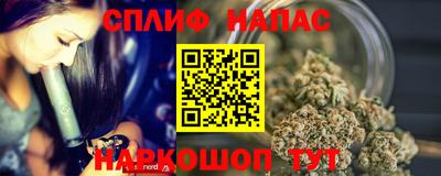 гидра Можга